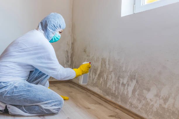 Crawl Space Mold Remediation treatment of floor joists in Linden